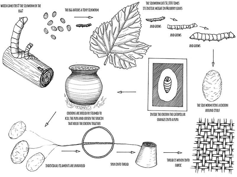 How Is Silk Fabric Made