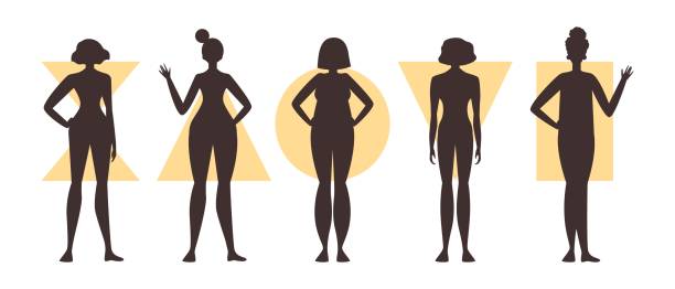 Understanding Different Body Types