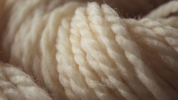 Merino Wool: The Best Choice Wool Suitable for Tropical Climates