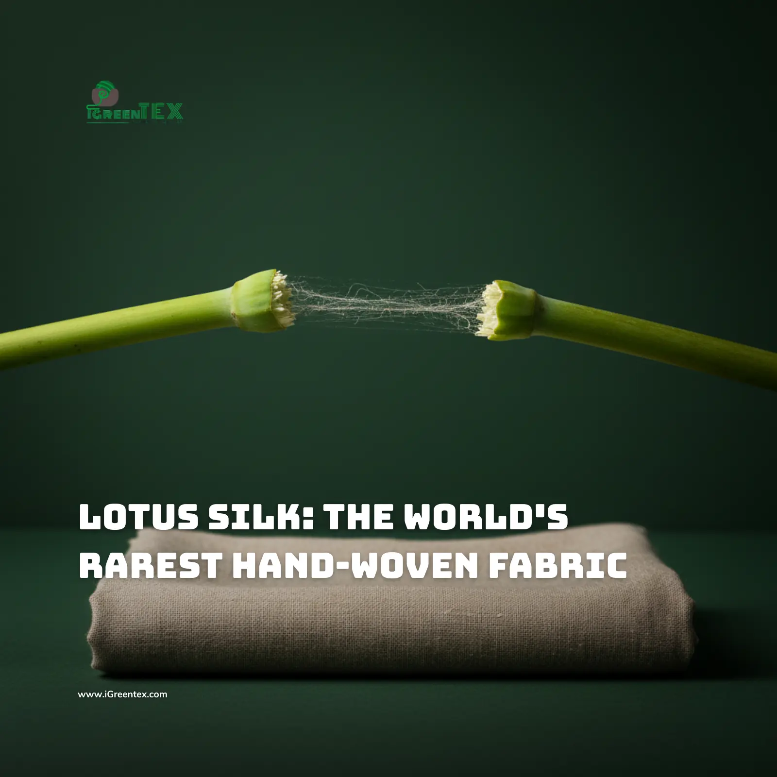 Macro shot of delicate fibers stretching from a broken lotus stem, placed on a piece of hand-woven natural beige Lotus Silk fabric. Background is a professional deep forest green.