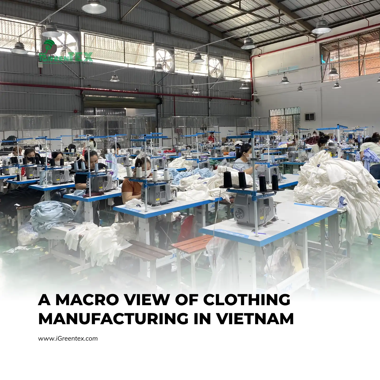 A wide angle view of organized sewing lines and synchronized machinery at iGreen Tex factory, illustrating the layout of clothing manufacturing in Vietnam.