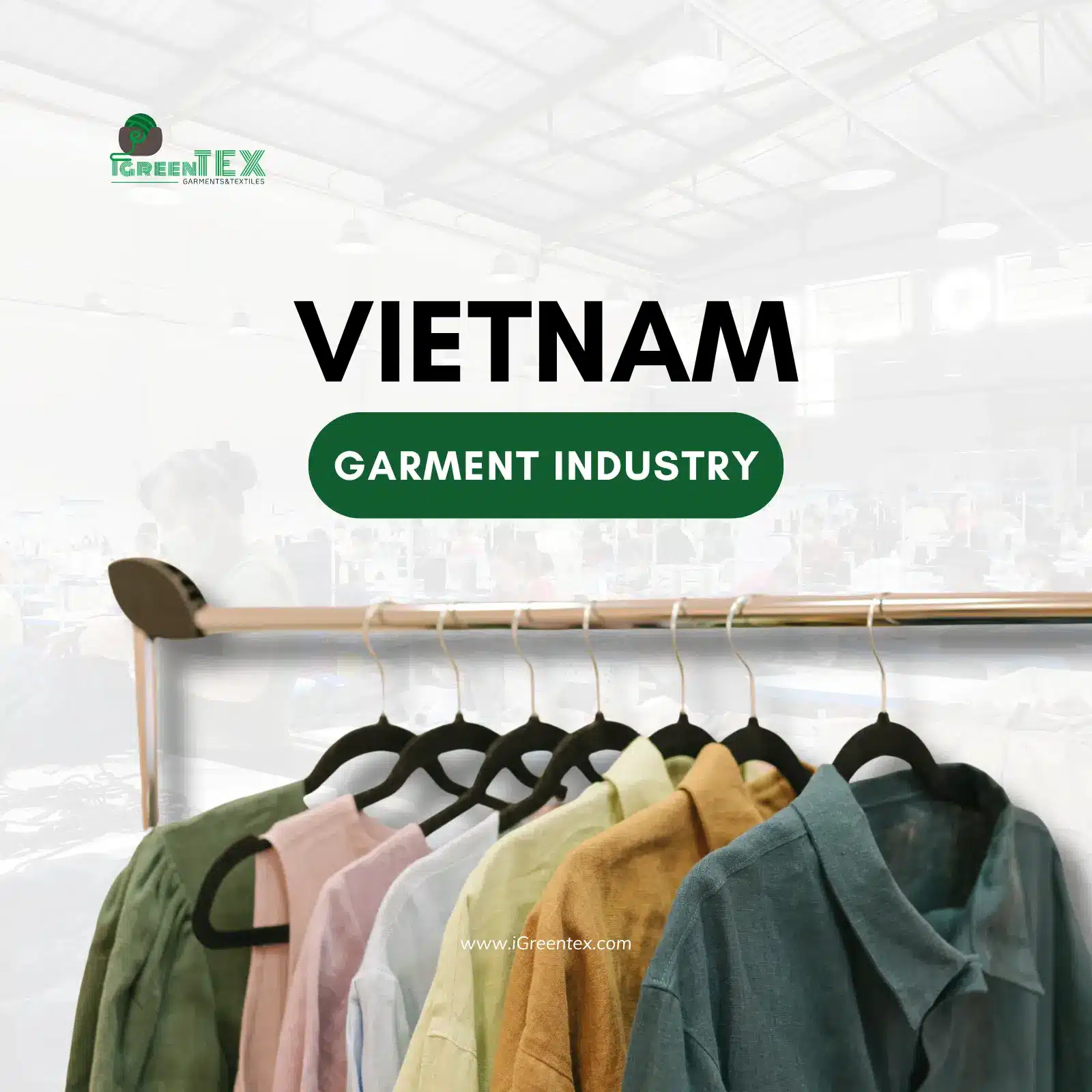 An industrial infographic displaying export trends and capacity of the Vietnam Garment Industry.